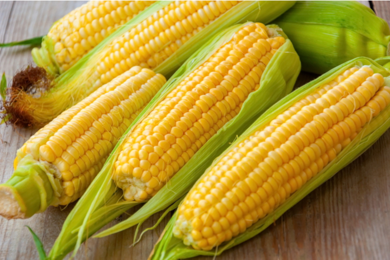 Fresh corn on cobs on rustic wooden table, closeup