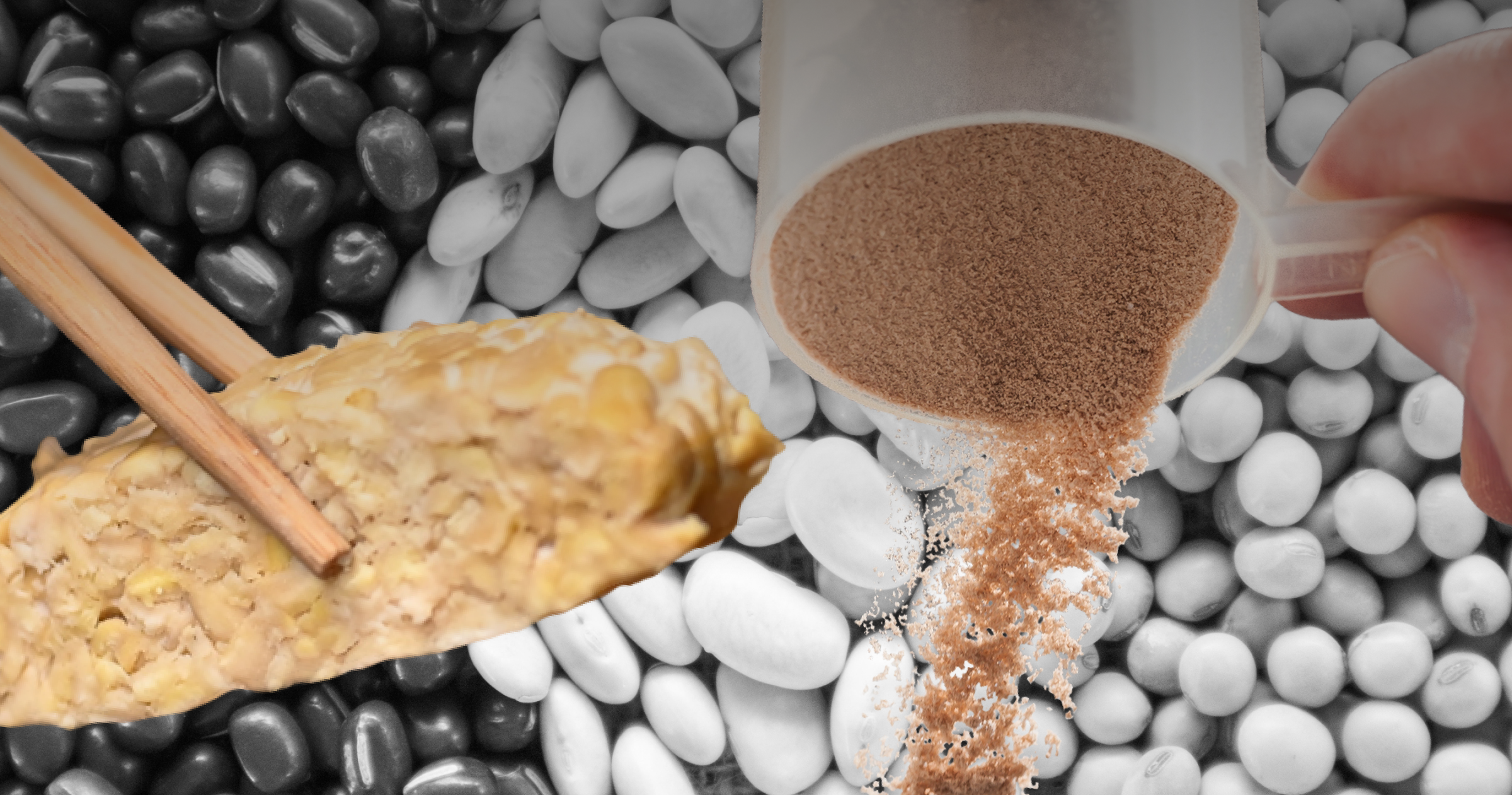 Easy Ways to Add More Plant-Based Protein to Your Diet (+ 2 Great Recipes!)